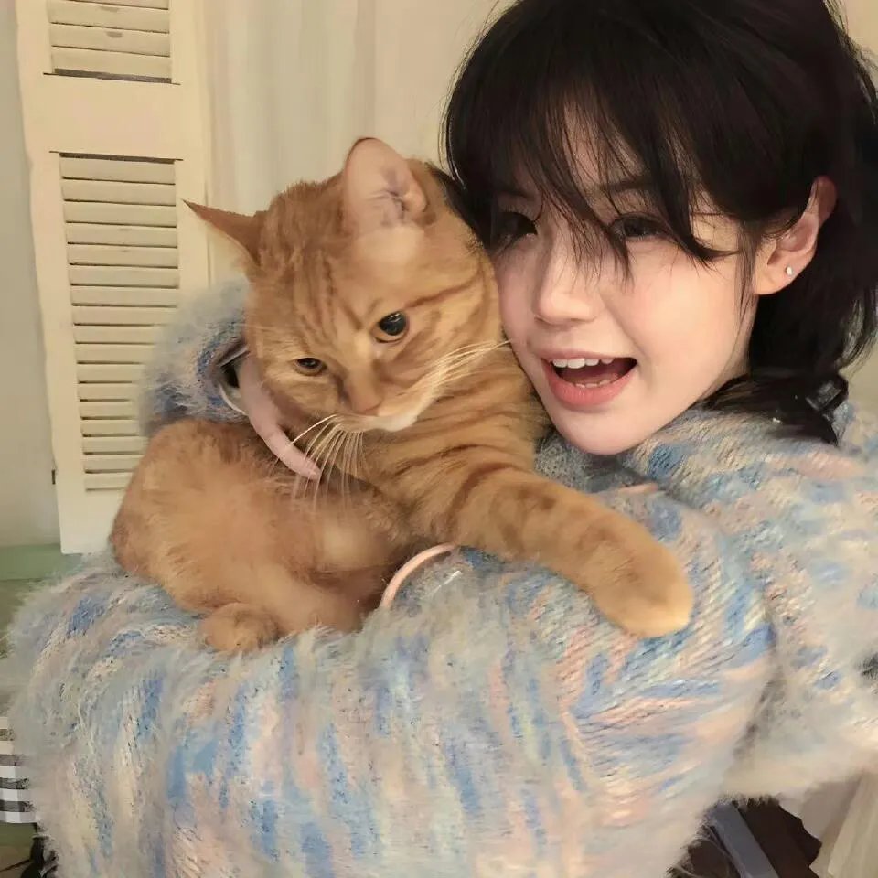 双面骗子虚假警察第二季